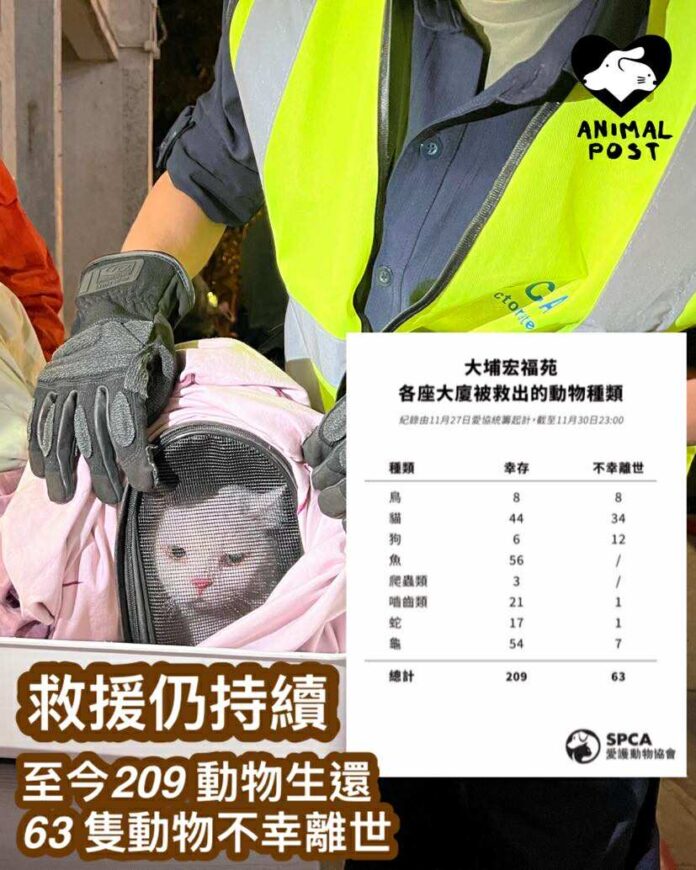 宏福苑大火動物搜救
